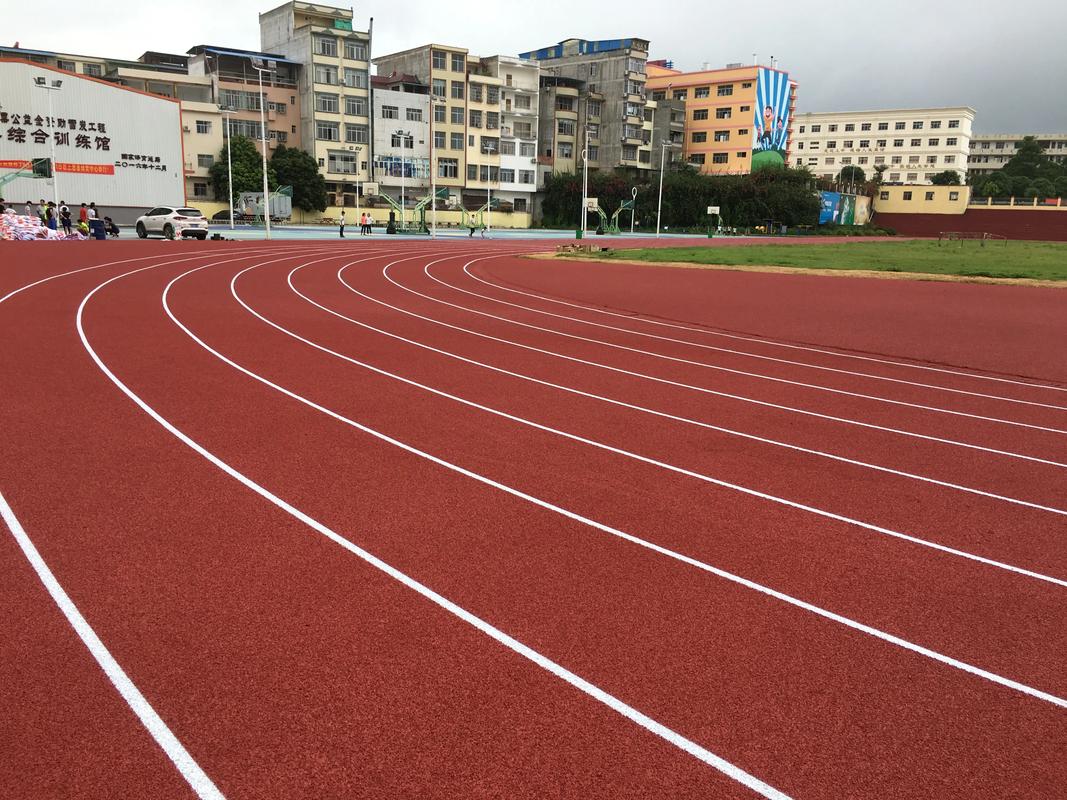 陵水黎族自治县硅PU塑胶跑道材料 - 厂家